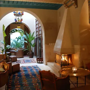 Camilia Marrakesh